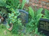 image of grave number 359193